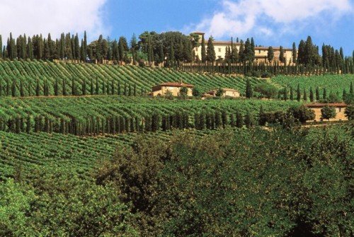 cantine aperte8