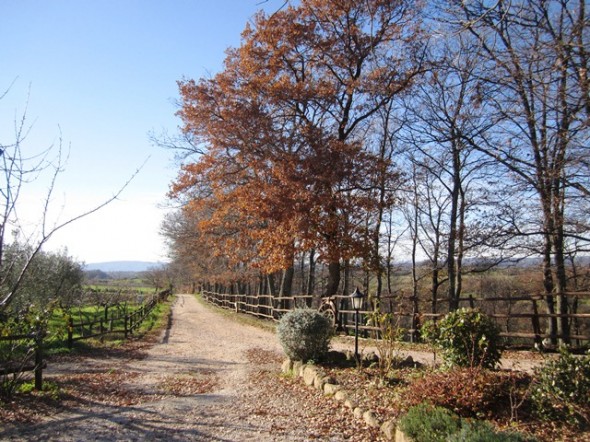 zona rural da Toscana