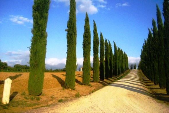 estradas da Toscana
