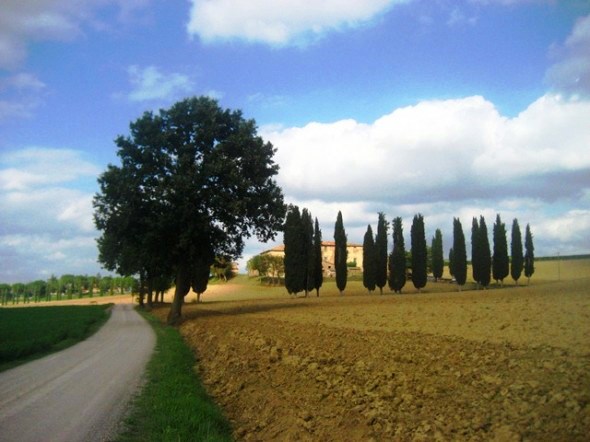 estradas da Toscana