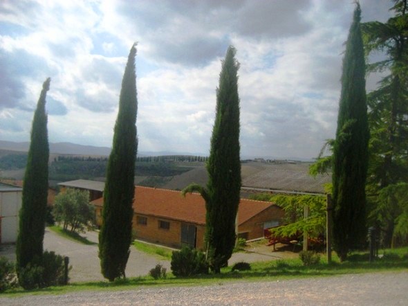 vinícola na Toscana