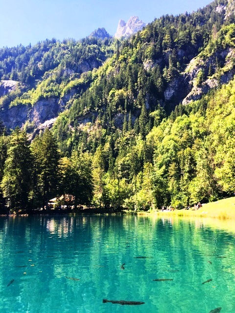 lagos da suica
